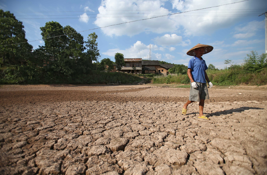 A drought that has lasted since early July has left 384,000 people short of drinking water in the province. Eighty-seven counties of 12 cities and prefectures in the province have been affected by the drought, with about 260,000 hectares of crops damaged and 216,000 heads of livestock short of water. Also in the province, 128 rivers and 124 reservoirs are dry. [Photo/Xinhua]