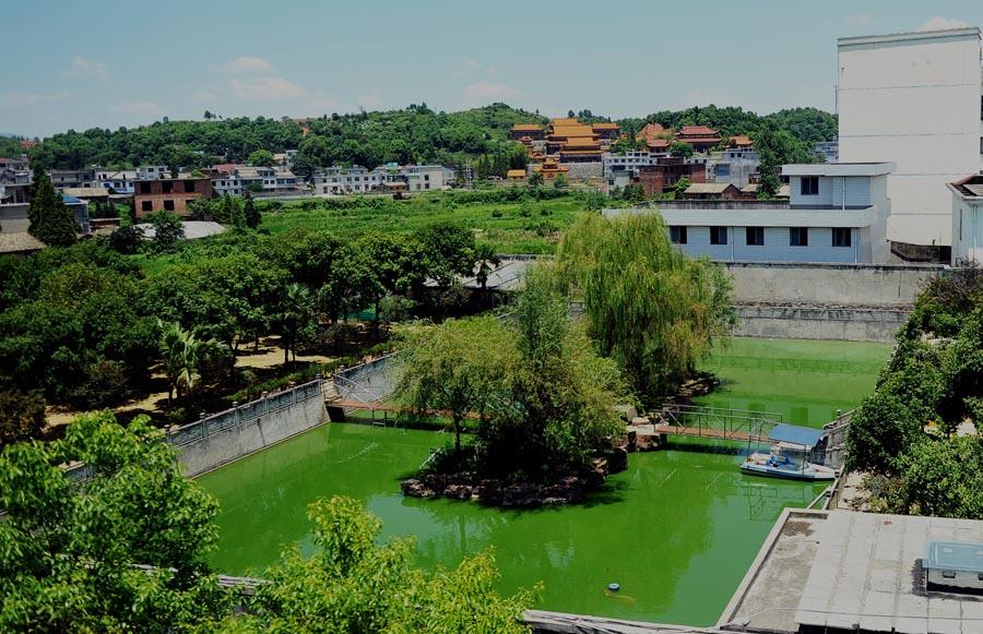 2013年7月24日,江西气功大师王林在江西省萍乡市芦溪县的府邸王府