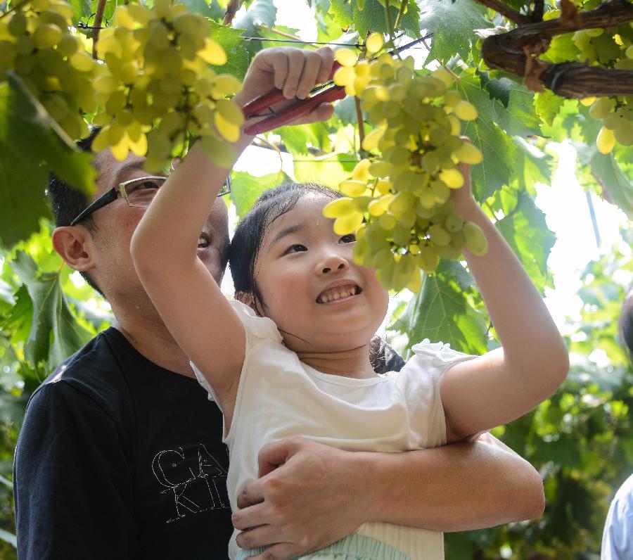 CHINA-ZHEJIANG-CHANGXING-HARVEST (CN)