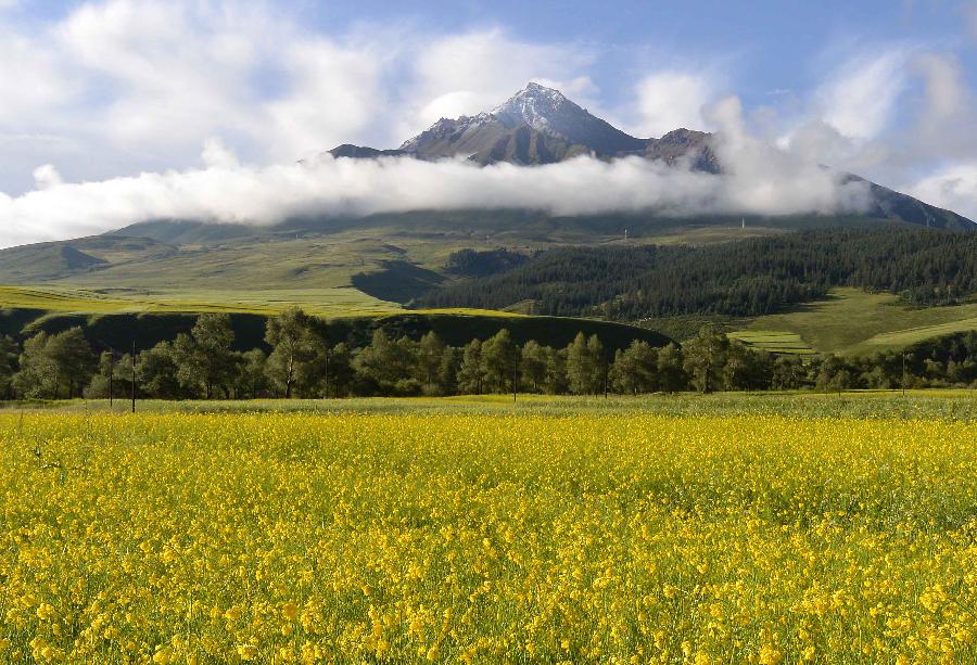 CHINA-QINGHAI-QILIAN MOUNTAIN-SCENERY (CN)