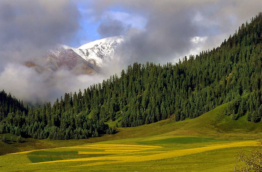 CHINA-QINGHAI-QILIAN MOUNTAIN-SCENERY (CN)