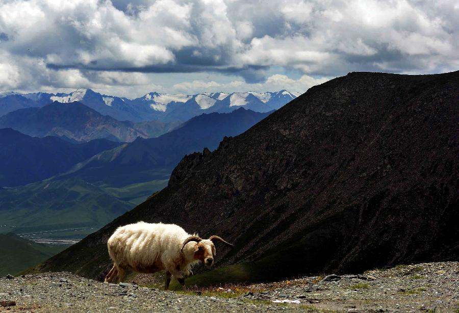 CHINA-QINGHAI-QILIAN MOUNTAIN-SCENERY (CN)