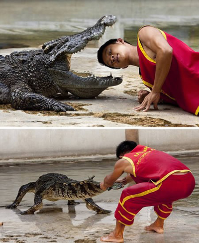 Alligator wrestler, one of the 'top 10 most dangerous jobs in the world' by China.org.cn.