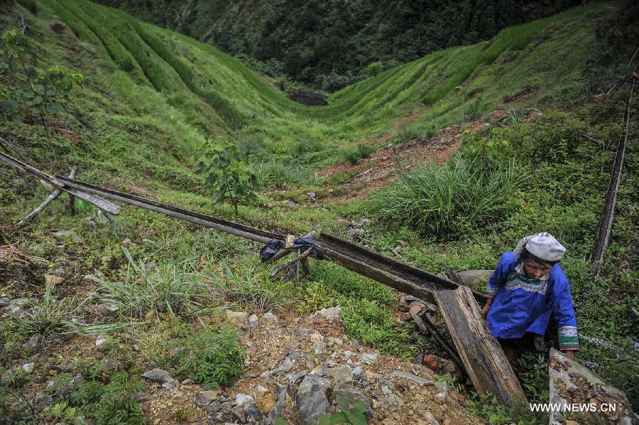 CHINA-GUIZHOU-RONGJIANG-TERRACED FIELDS (CN)