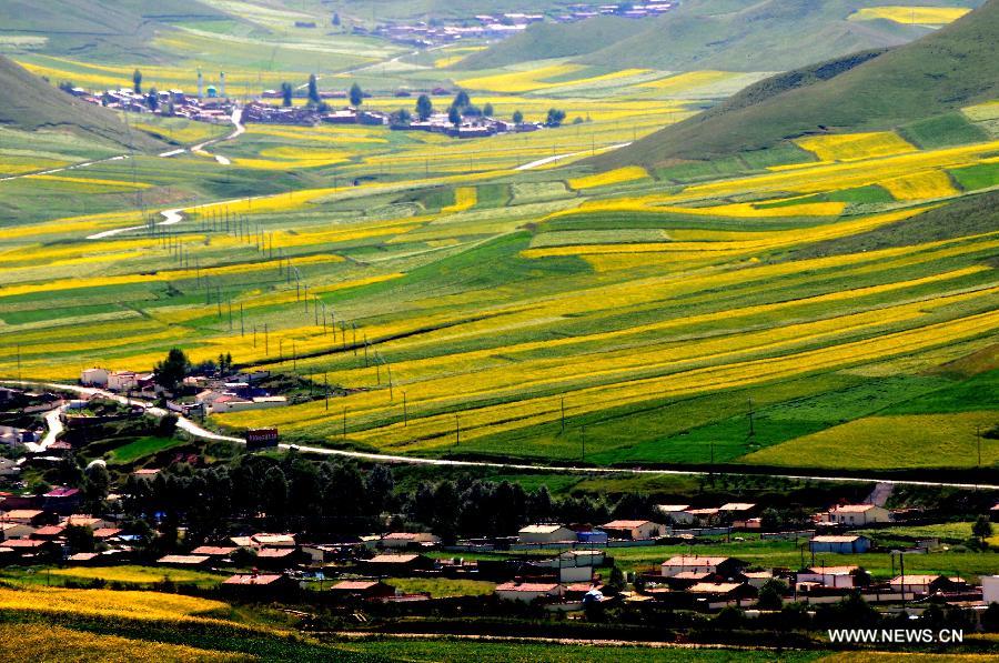 #CHINA-ZHANYE-SCENERY (CN)