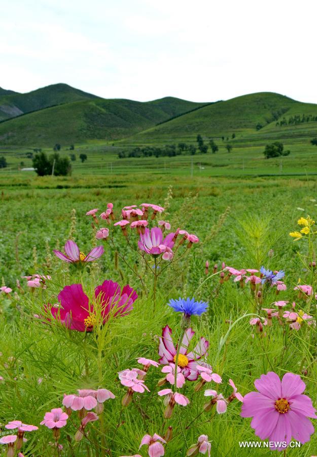 CHINA-HEBEI-ZHANGJIAKOU-SCENERY (CN)