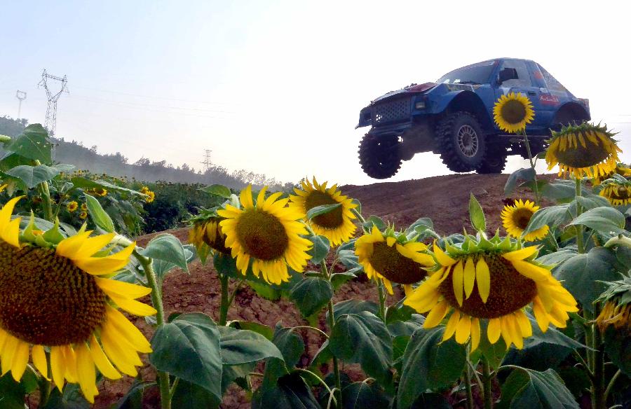 CHINA-HENAN-SUNFLOWERS (CN)