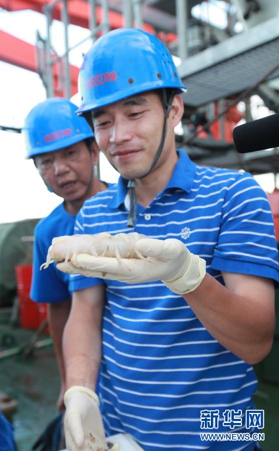 Photo taken on Aug. 11, 2013 shows the sea cucumber collected by China's manned submersible Jiaolong in eastern Pacific Ocean. Jiaolong collected variety of exotic sea creatures from the China Pacific polymetallic nodule exploration contract area in the eastern Pacific Ocean on Sunday. This is Jiaolong's third descent into eastern Pacific.