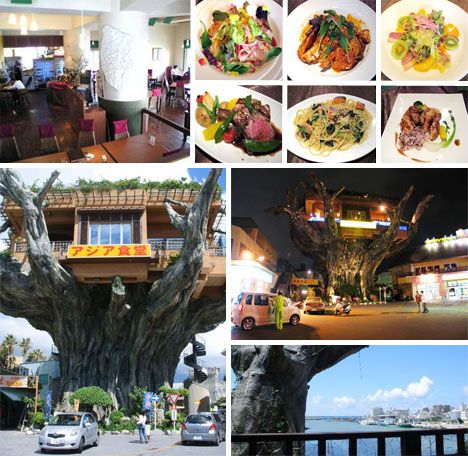 GajumaruTreehouse Diner, Japan, one of the 'top 10 unique restaurants in the world' by China.org.cn.