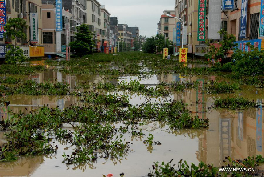 Photo taken on Aug. 18, 2013 shows a flooded street in Hanguang Town of Yingde City, south China&apos;s Guangdong Province. 