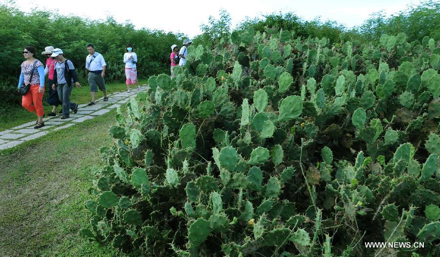 CHINA-PENGHU-SCENERY-TOURISM (CN)