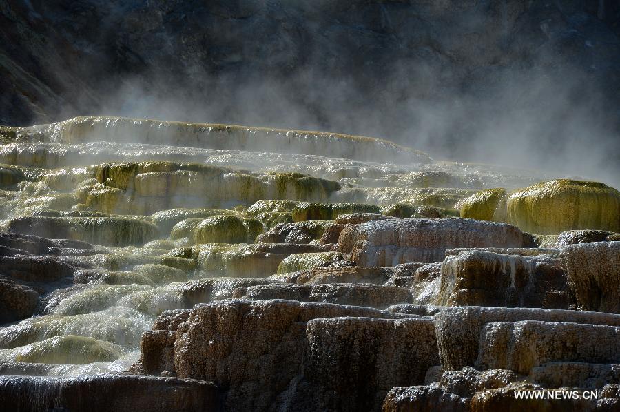 Photo taken on Aug. 18, 2013 shows the scenery of Mammoth Hot Springs in Yellowstone National Park, the United States. 