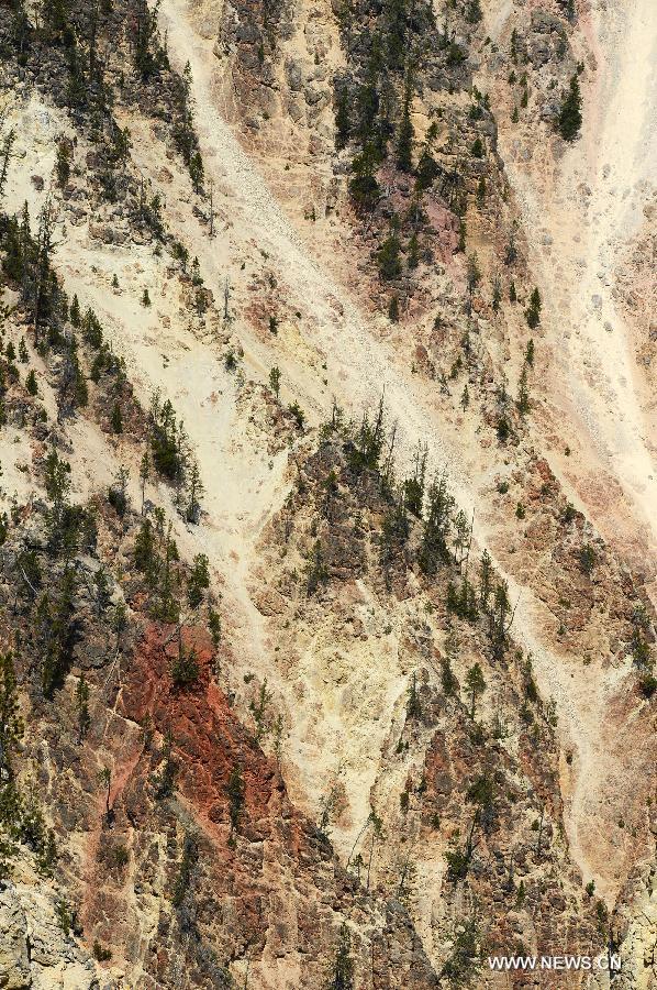 Photo taken on Aug. 17, 2013 shows the scenery of Grand Canyon in Yellowstone National Park, the United States. 