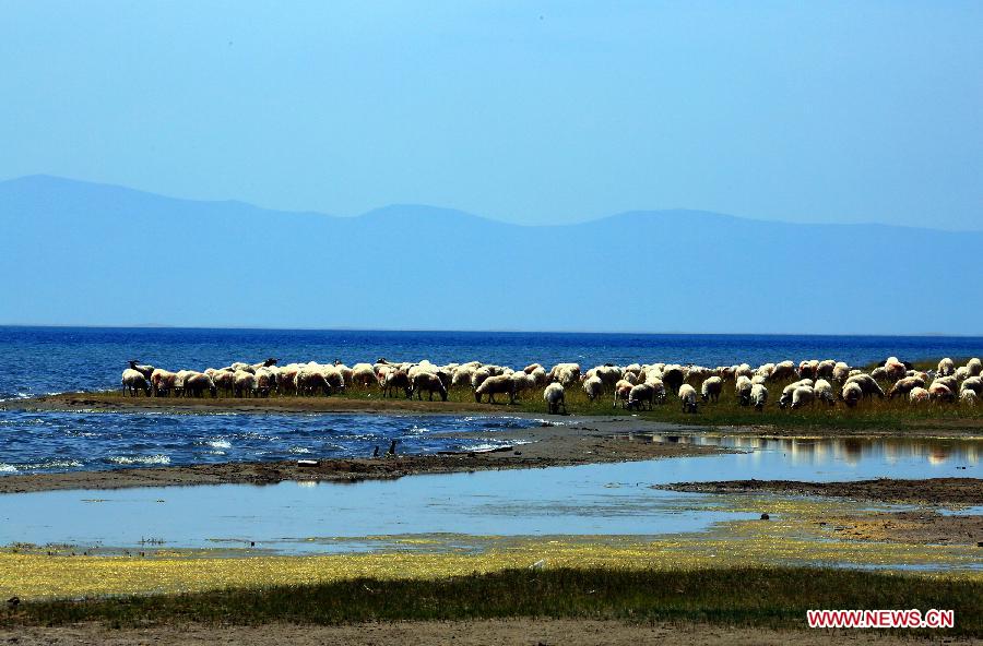 #CHINA-QINGHAI-QINGHAI LAKE(CN)