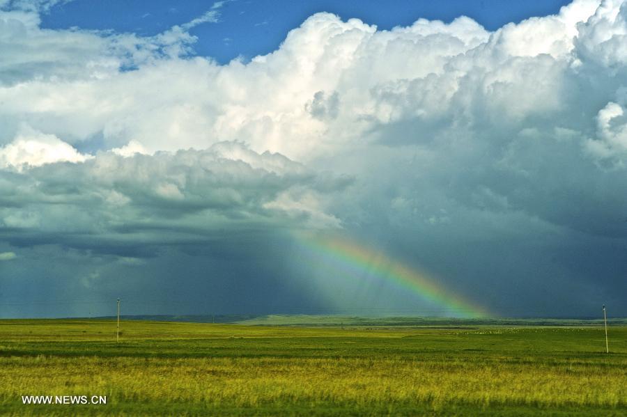 CHINA-INNER MONGOLIA-SCENERY (CN)