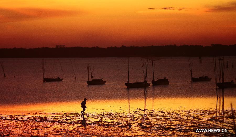 A fisherfolk walks on the beach during the sunset in Sanjiang Town, Haikou, south China's island of Hainan Province, Aug. 28, 2013. 