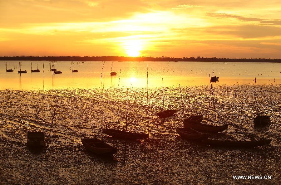 Photo taken on Aug. 28, 2013 shows sunset scenery in Sanjiang Town, Haikou, south China's island of Hainan Province. 