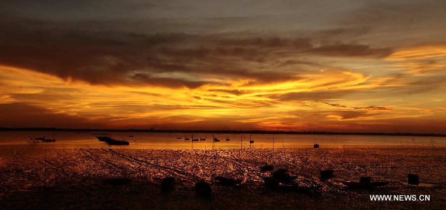 Photo taken on Aug. 28, 2013 shows sunset scenery in Sanjiang Town, Haikou, south China's island of Hainan Province. 