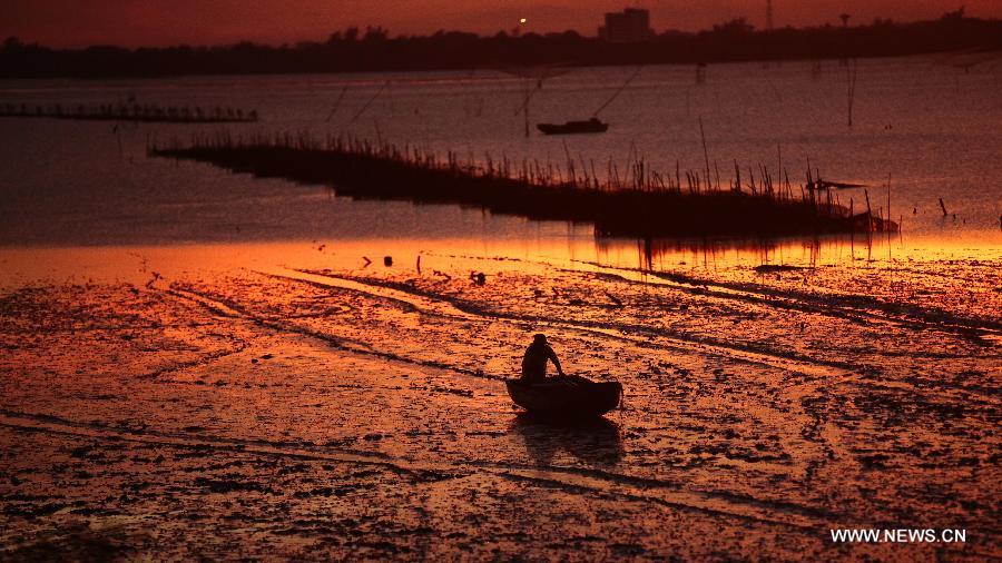 Photo taken on Aug. 28, 2013 shows sunset scenery in Sanjiang Town, Haikou, south China's island of Hainan Province. 