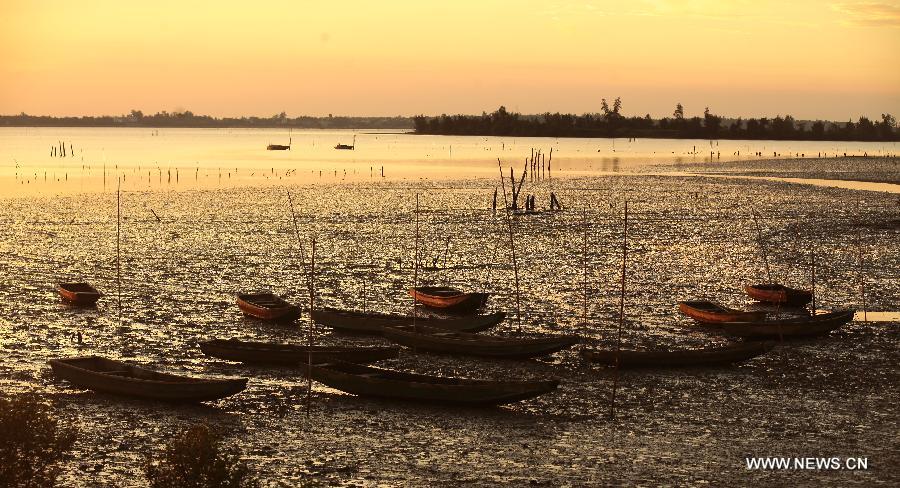 Photo taken on Aug. 28, 2013 shows sunset scenery in Sanjiang Town, Haikou, south China's island of Hainan Province. 