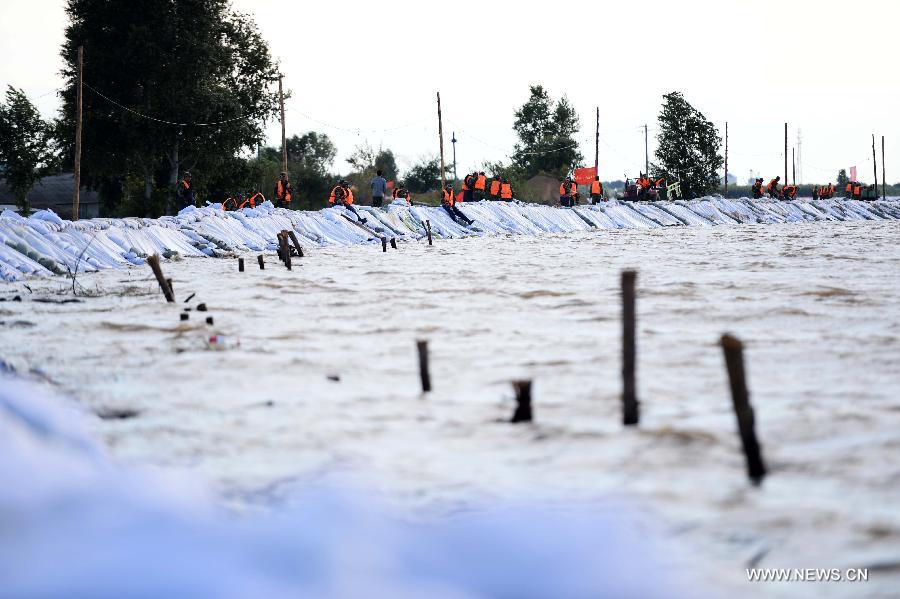 Officers and soldiers reinforce the embankment in Sancun Township of Tongjiang City, northeast China's Heilongjiang Province, Aug. 28, 2013. The Songhuajiang River mingles with the Heilongjiang River at Tongjiang. The water level of Tongjiang section of the Songhuajiang River and the Heilongjiang River reached 56.63 meters and 56.05 meters, exceeding the warning level by 1.73 meters and 2.05 meters respectively. [Wang Kai/Xinhua]