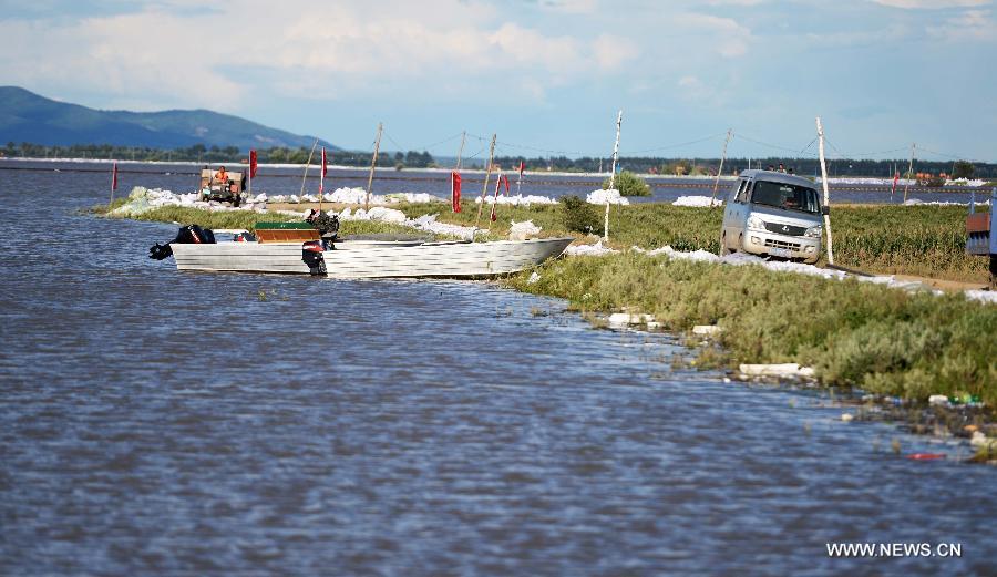 Farmlands are flooded by water in Sancun Township in Tongjiang City, northeast China's Heilongjiang Province, Aug. 28, 2013. The Songhuajiang River mingles with the Heilongjiang River at Tongjiang. The water level of Tongjiang section of the Songhuajiang River and the Heilongjiang River reached 56.63 meters and 56.05 meters, exceeding the warning level by 1.73 meters and 2.05 meters respectively. [Wang Kai/Xinhua]