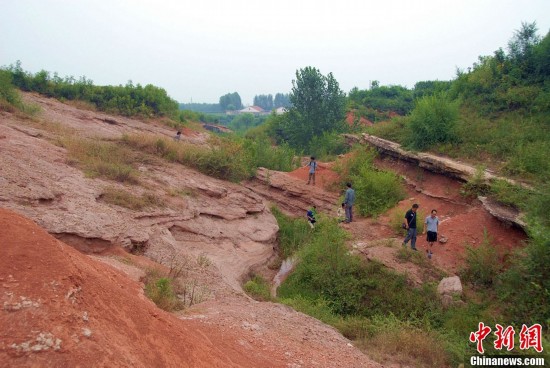 Chinese archaeologists have again unearthed several dinosaur fossils at a site in Laiyang City, in east China's Shandong Province.