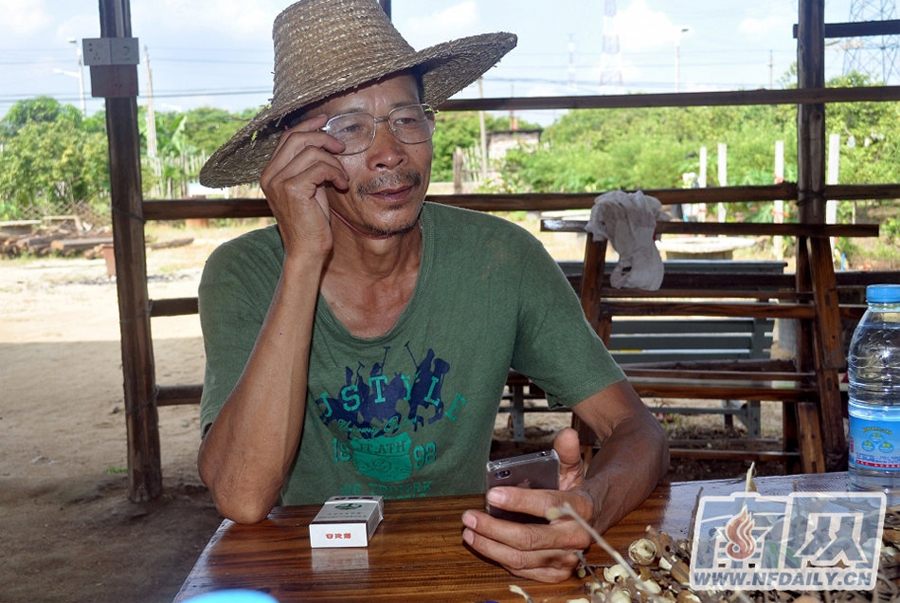 In his younger years, Bao Jiazhi was an engineer and owned several patents. In recent years, however, he has built himself a bird's nest which he now calls home. The nest is located within an ecological garden on Changzhou Island of Huangpu District in Guangzhou. 