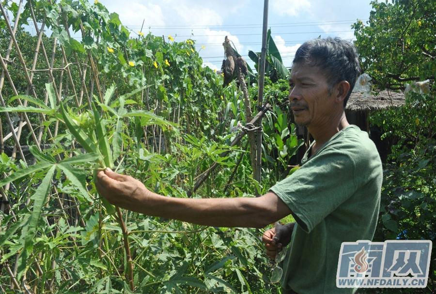 In his younger years, Bao Jiazhi was an engineer and owned several patents. In recent years, however, he has built himself a bird's nest which he now calls home. The nest is located within an ecological garden on Changzhou Island of Huangpu District in Guangzhou. 