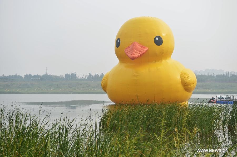 CHINA-BEIJING-GIANT RUBBER DUCK (CN)