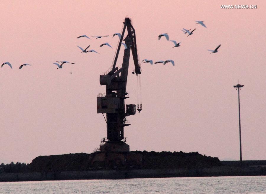 #CHINA-SHANDONG-PENGLAI-EGRETS (CN)