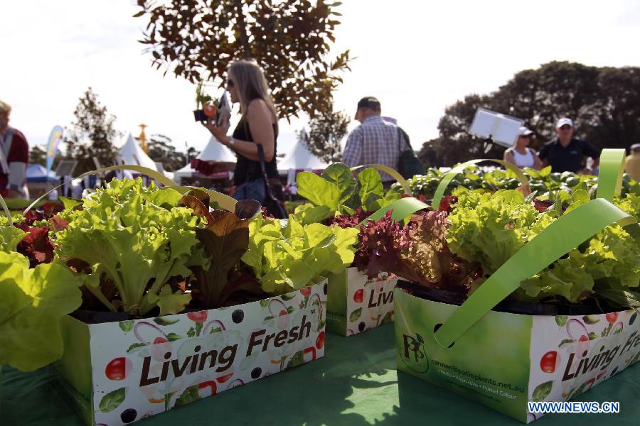 AUSTRALIA-SYDNEY-GARDEN SHOW