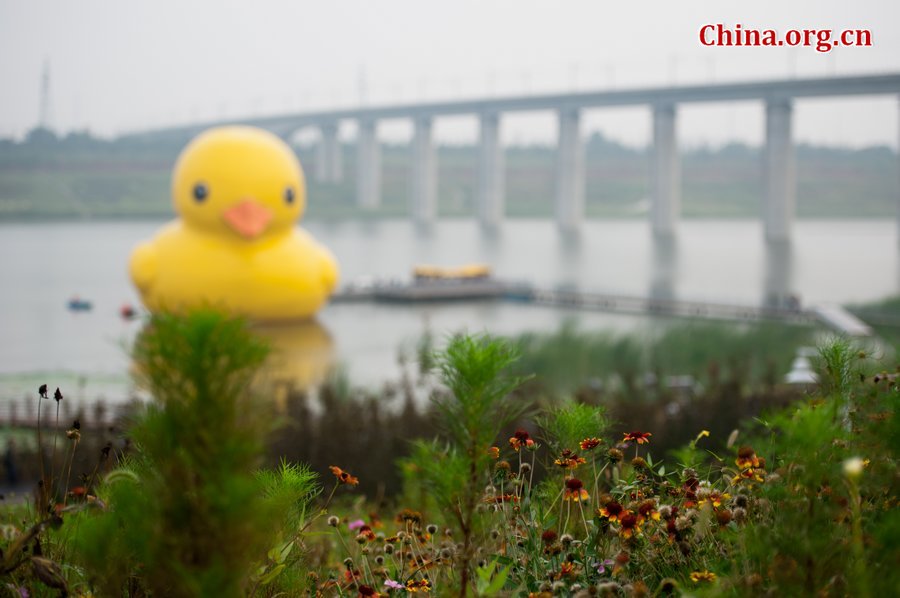 A giant rubber duck is seen on a lake in the Garden Expo Park in Beijing, capital of China, Sept. 6, 2013. The 18-meter-tall inflatable rubber duck, created by Dutch artist Florentijn Hofman, is expected to visit Beijing from September to October. [Photo / Chen Boyuan / China.org.cn]