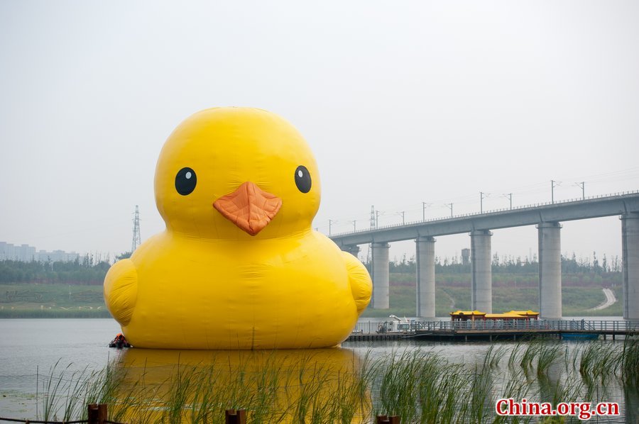 A giant rubber duck is seen on a lake in the Garden Expo Park in Beijing, capital of China, Sept. 6, 2013. The 18-meter-tall inflatable rubber duck, created by Dutch artist Florentijn Hofman, is expected to visit Beijing from September to October. [Photo / Chen Boyuan / China.org.cn]