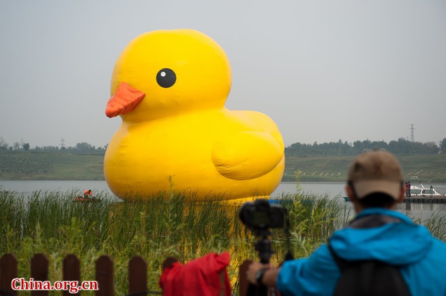 A giant rubber duck is seen on a lake in the Garden Expo Park in Beijing, capital of China, Sept. 6, 2013. The 18-meter-tall inflatable rubber duck, created by Dutch artist Florentijn Hofman, is expected to visit Beijing from September to October. [Photo / Chen Boyuan / China.org.cn]