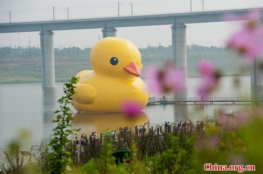 A giant rubber duck is seen on a lake in the Garden Expo Park in Beijing, capital of China, Sept. 6, 2013. The 18-meter-tall inflatable rubber duck, created by Dutch artist Florentijn Hofman, is expected to visit Beijing from September to October. [Photo / Chen Boyuan / China.org.cn]