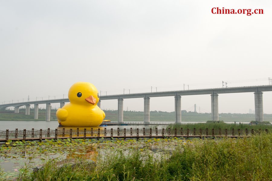 A giant rubber duck is seen on a lake in the Garden Expo Park in Beijing, capital of China, Sept. 6, 2013. The 18-meter-tall inflatable rubber duck, created by Dutch artist Florentijn Hofman, is expected to visit Beijing from September to October. [Photo / Chen Boyuan / China.org.cn]