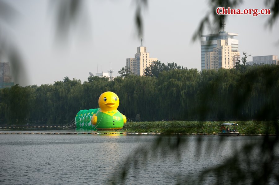 Photo taken on September 6, 2013 shows a rubber duck wearing a green vest and followed by seven green eggs at Yuyuantan Park in Beijing. Since Dutch artist Florentijn Hofman&apos;s giant rubber duck became a sensation at Hong Kong&apos;s Victoria Harbor, a wave of ducks has swamped the country with various copies. Now Hofman&apos;s rubber duck is exhibited at Beijing Garden Expo Park. [Chen Boyuan / China.org.cn] 