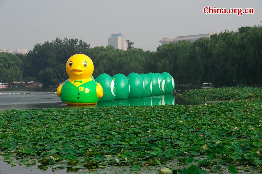 Photo taken on September 6, 2013 shows a rubber duck wearing a green vest and followed by seven green eggs at Yuyuantan Park in Beijing. Since Dutch artist Florentijn Hofman&apos;s giant rubber duck became a sensation at Hong Kong&apos;s Victoria Harbor, a wave of ducks has swamped the country with various copies. Now Hofman&apos;s rubber duck is exhibited at Beijing Garden Expo Park. [Chen Boyuan / China.org.cn] 