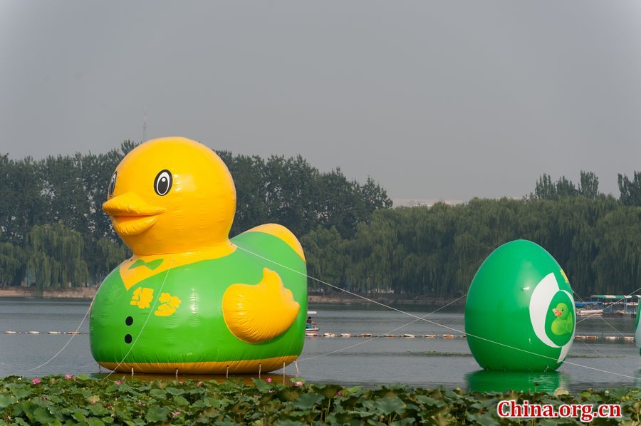 Photo taken on September 6, 2013 shows a rubber duck wearing a green vest and followed by seven green eggs at Yuyuantan Park in Beijing. Since Dutch artist Florentijn Hofman&apos;s giant rubber duck became a sensation at Hong Kong&apos;s Victoria Harbor, a wave of ducks has swamped the country with various copies. Now Hofman&apos;s rubber duck is exhibited at Beijing Garden Expo Park. [Chen Boyuan / China.org.cn] 