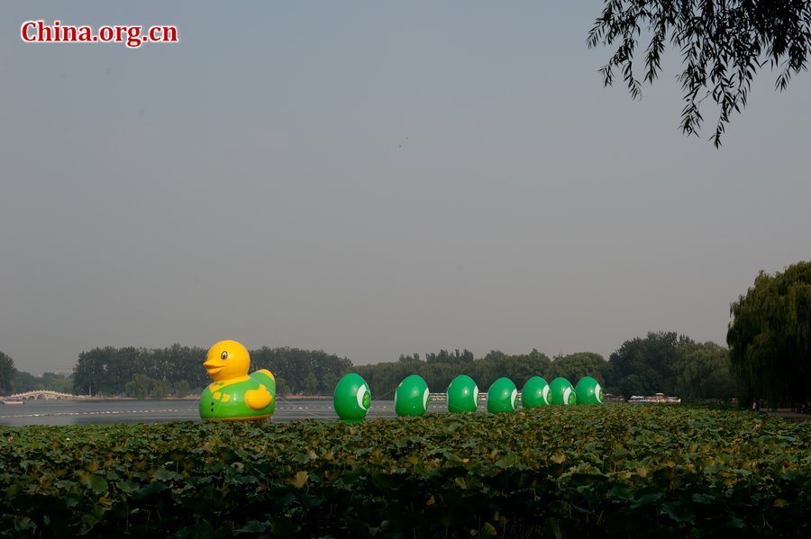 Photo taken on September 6, 2013 shows a rubber duck wearing a green vest and followed by seven green eggs at Yuyuantan Park in Beijing. Since Dutch artist Florentijn Hofman&apos;s giant rubber duck became a sensation at Hong Kong&apos;s Victoria Harbor, a wave of ducks has swamped the country with various copies. Now Hofman&apos;s rubber duck is exhibited at Beijing Garden Expo Park. [Chen Boyuan / China.org.cn] 