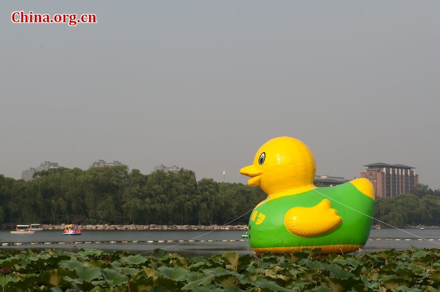 Photo taken on September 6, 2013 shows a rubber duck wearing a green vest and followed by seven green eggs at Yuyuantan Park in Beijing. Since Dutch artist Florentijn Hofman&apos;s giant rubber duck became a sensation at Hong Kong&apos;s Victoria Harbor, a wave of ducks has swamped the country with various copies. Now Hofman&apos;s rubber duck is exhibited at Beijing Garden Expo Park. [Chen Boyuan / China.org.cn] 