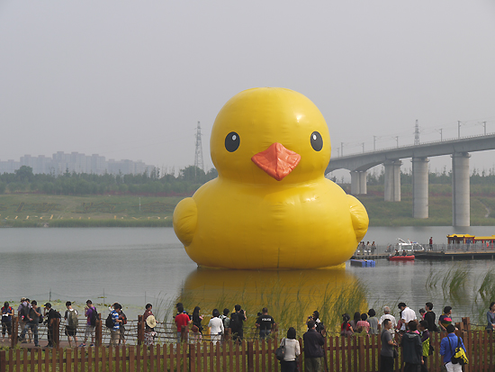A giant rubber duck, designed by Dutch artist Florentijn Hofman, is floating on a lake in the Garden Expo Park in west Beijing, capital of China, on Sept. 6, 2013. It is scheduled to spend the Mid-Autumn Festival with visitors and leave the park on the 23rd. [Photo by Xu Lin / China.org.cn]