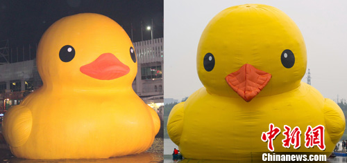 A giant rubber duck has been repaired after it was found to have a drooping beak and wrinkled skin after it made its Beijing debut on Friday.