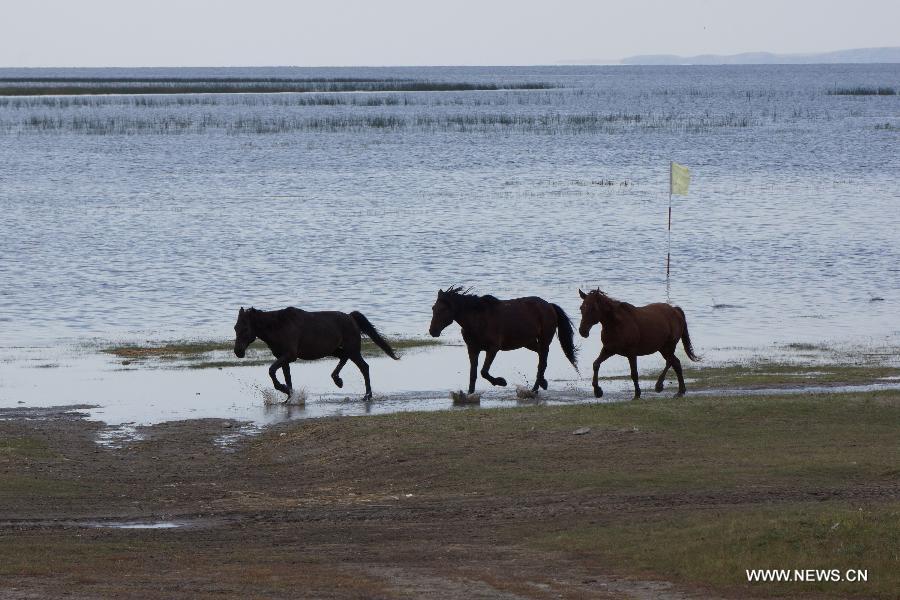 CHINA-INNER MONGOLIA-HULUN NUR-WATER LEVEL-RISE (CN) 