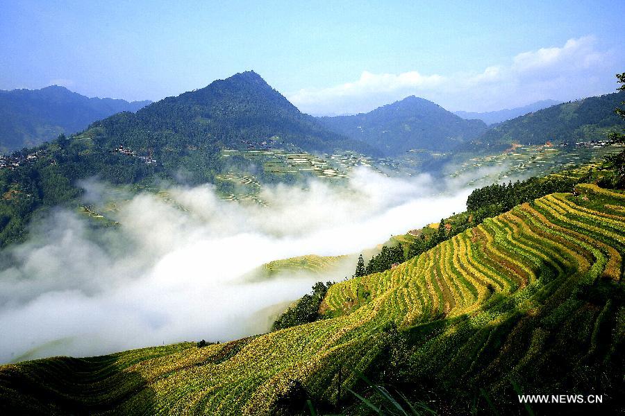 #CHINA-GUIZHOU-TERRACED FIELDS (CN) 