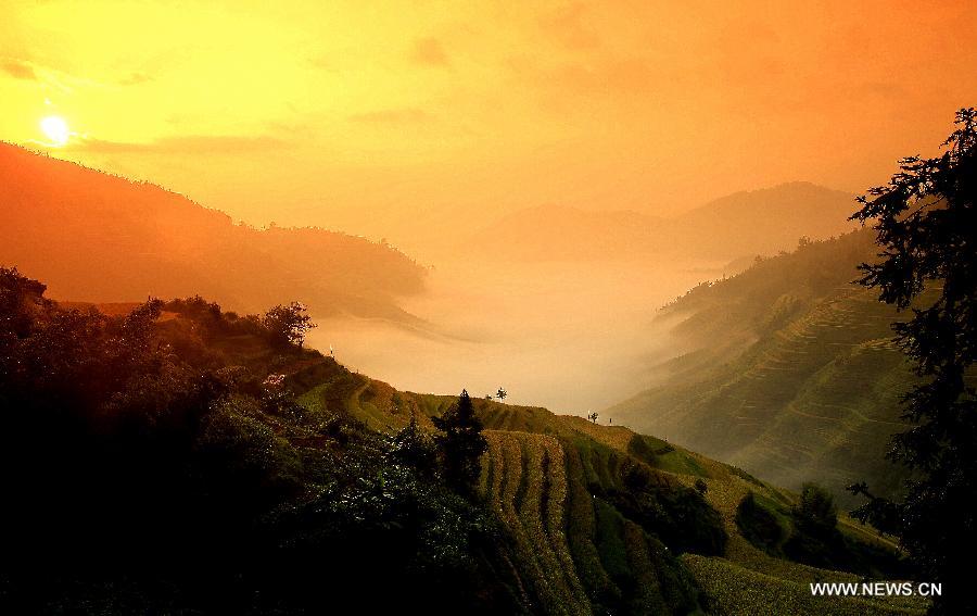 #CHINA-GUIZHOU-TERRACED FIELDS (CN) 