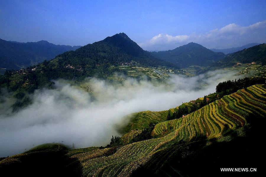 #CHINA-GUIZHOU-TERRACED FIELDS (CN) 