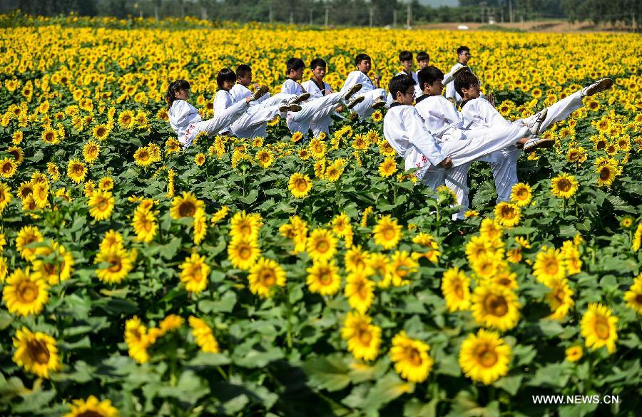 Students pose amid sunflowers in Changgou Town in the Fangshan District of Beijing, capital of China, Sept. 11, 2013.
