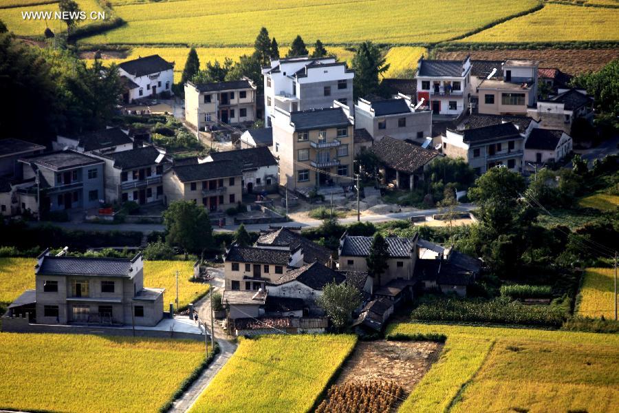 #CHINA-ANHUI-HUANGSHAN-PADDY RICE FIELDS-VIEW (CN)